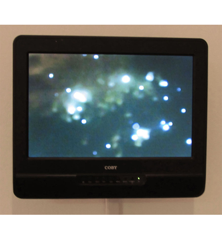 Sentient Pulse video still by artist David Huffman